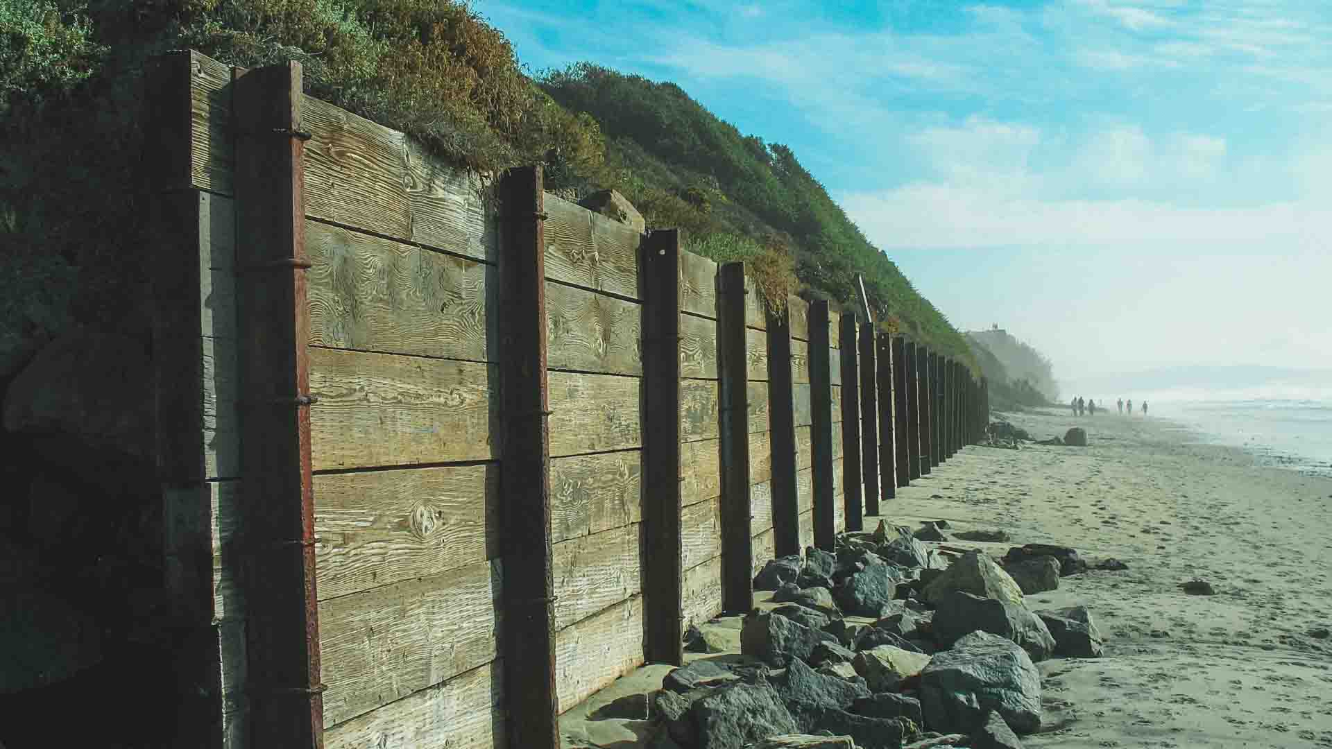 Website in order - 11